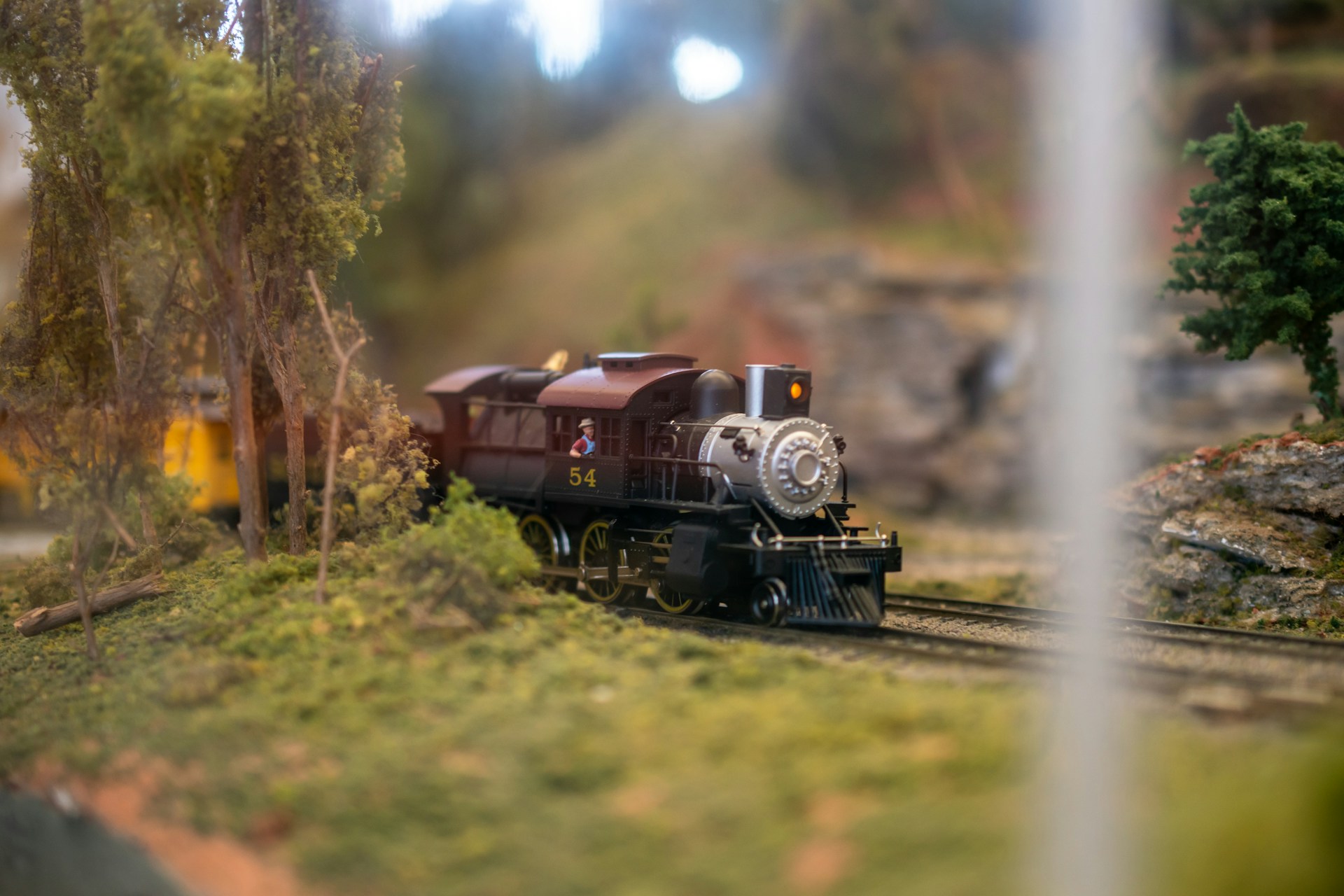 Modeltrein kopen
