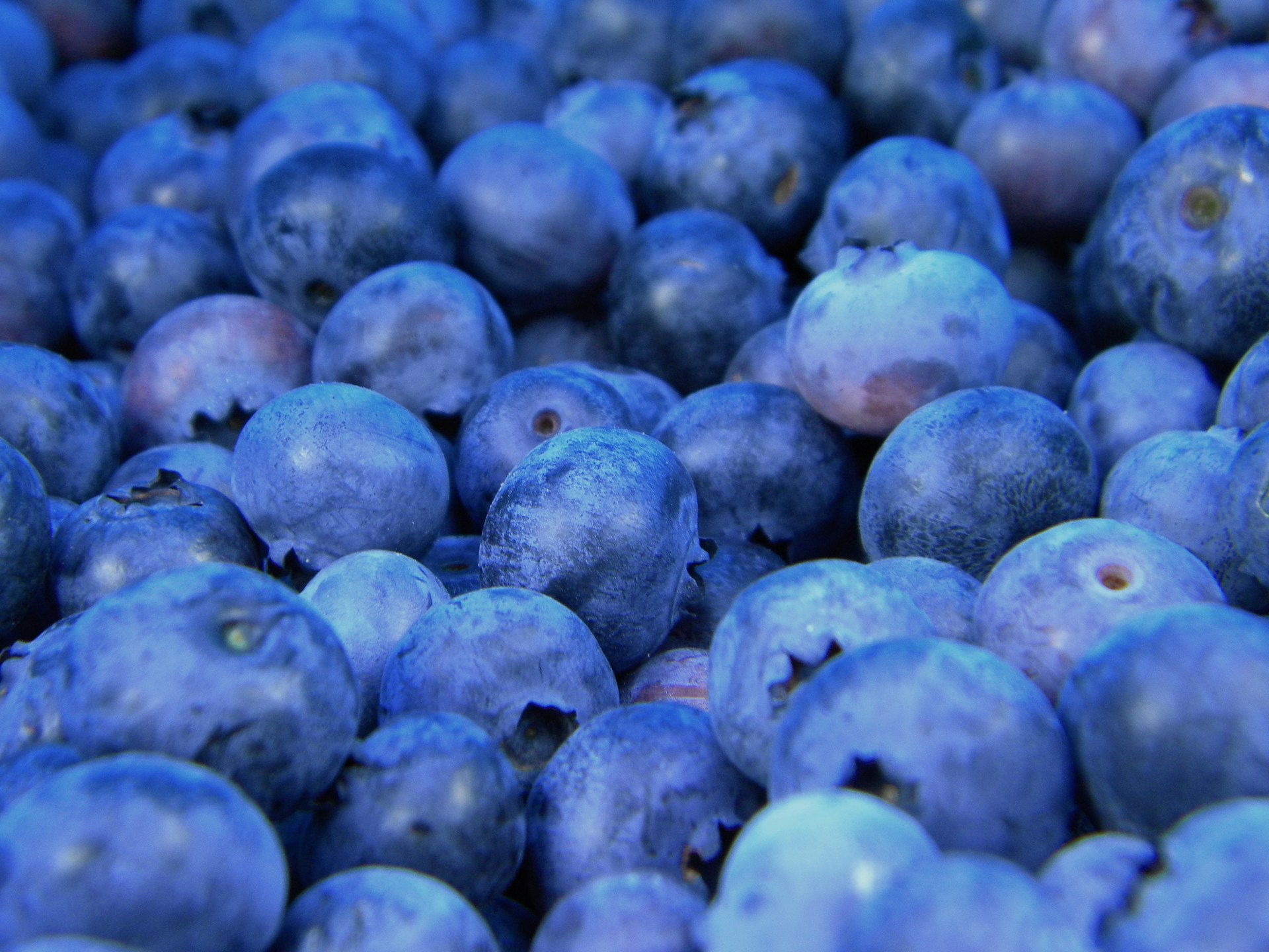 fruitmanden van 123fruit